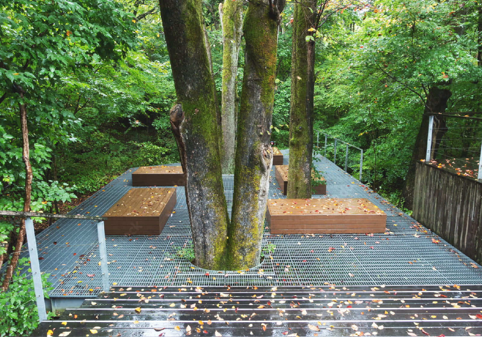 Homes in Harmony with Nature