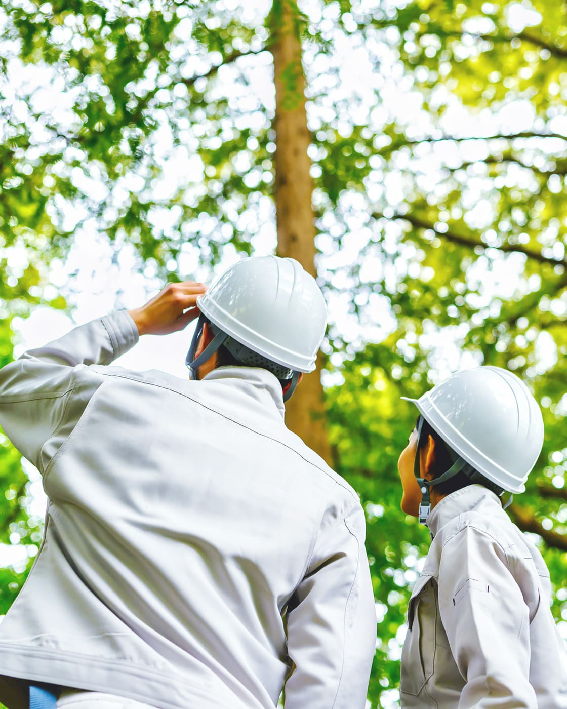 Commitment to Quality and Peace of Mind