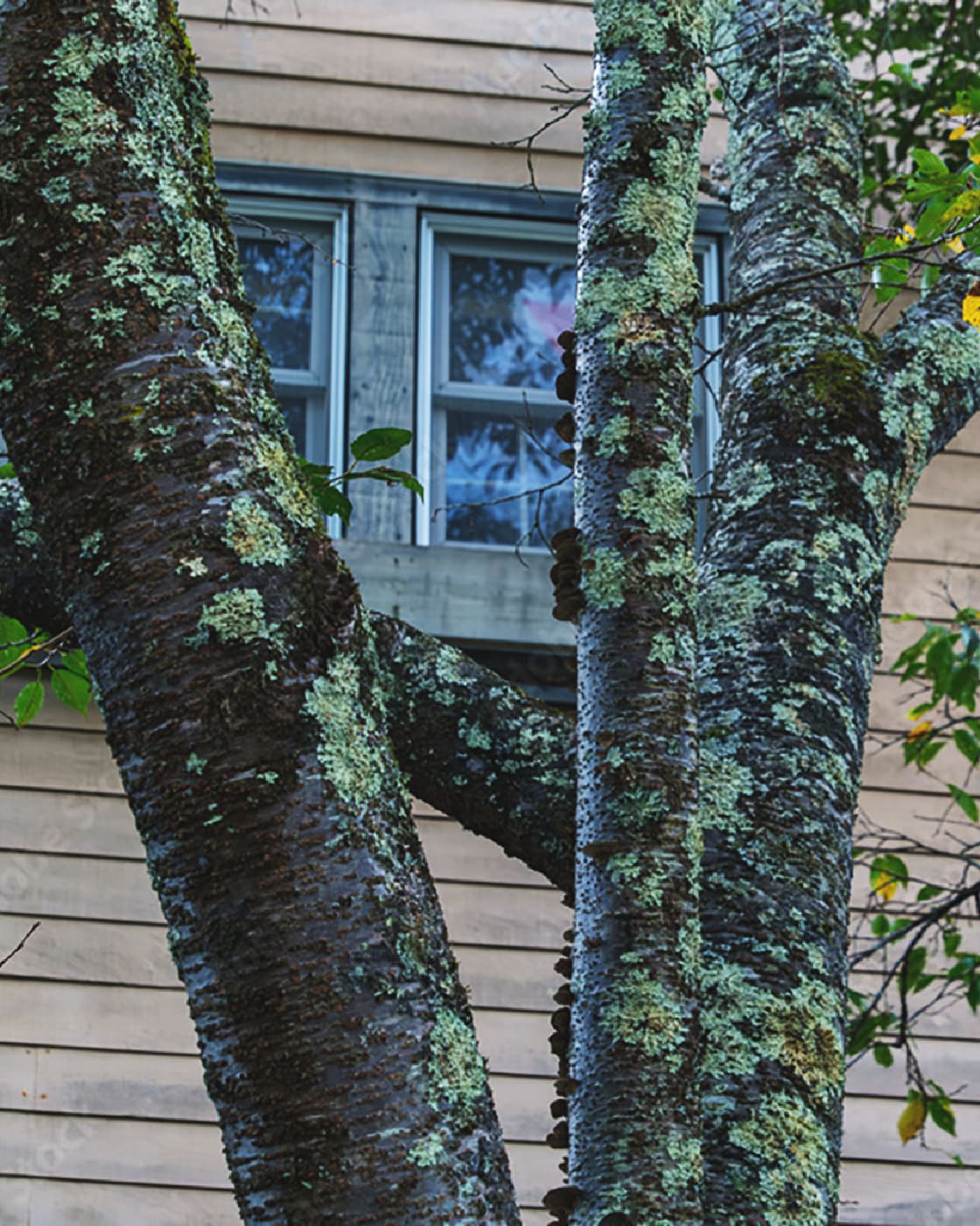 Villa management Villa Management