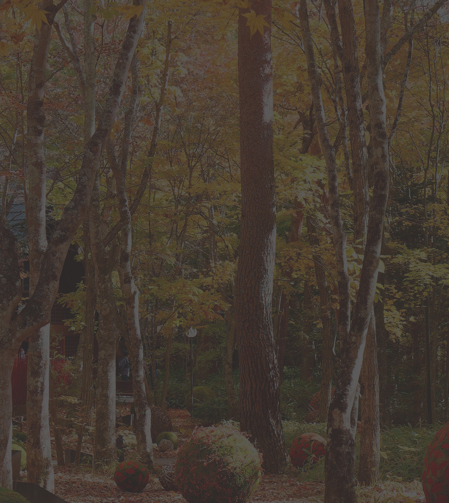 Contact us お問い合わせ