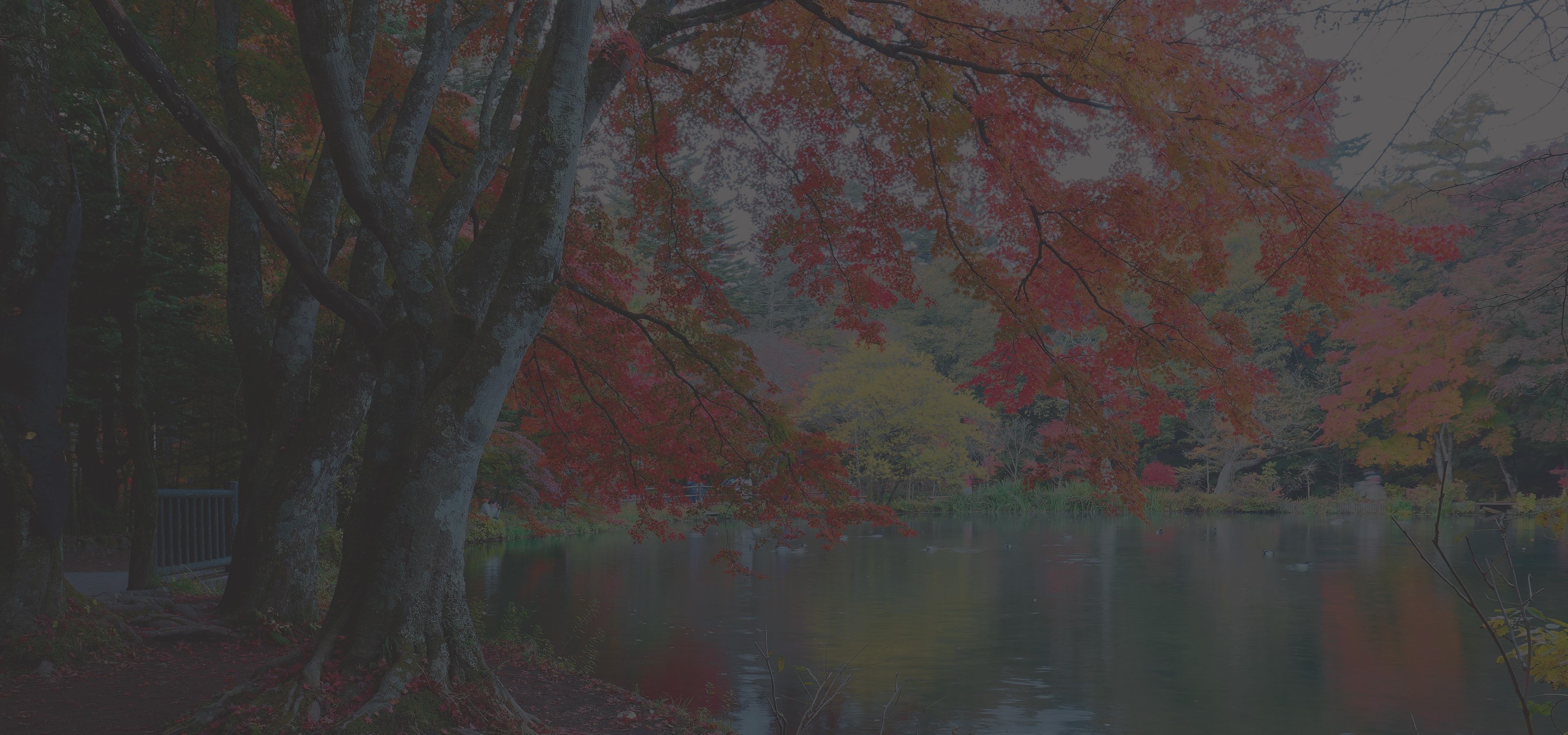 Contact us Get in Touch