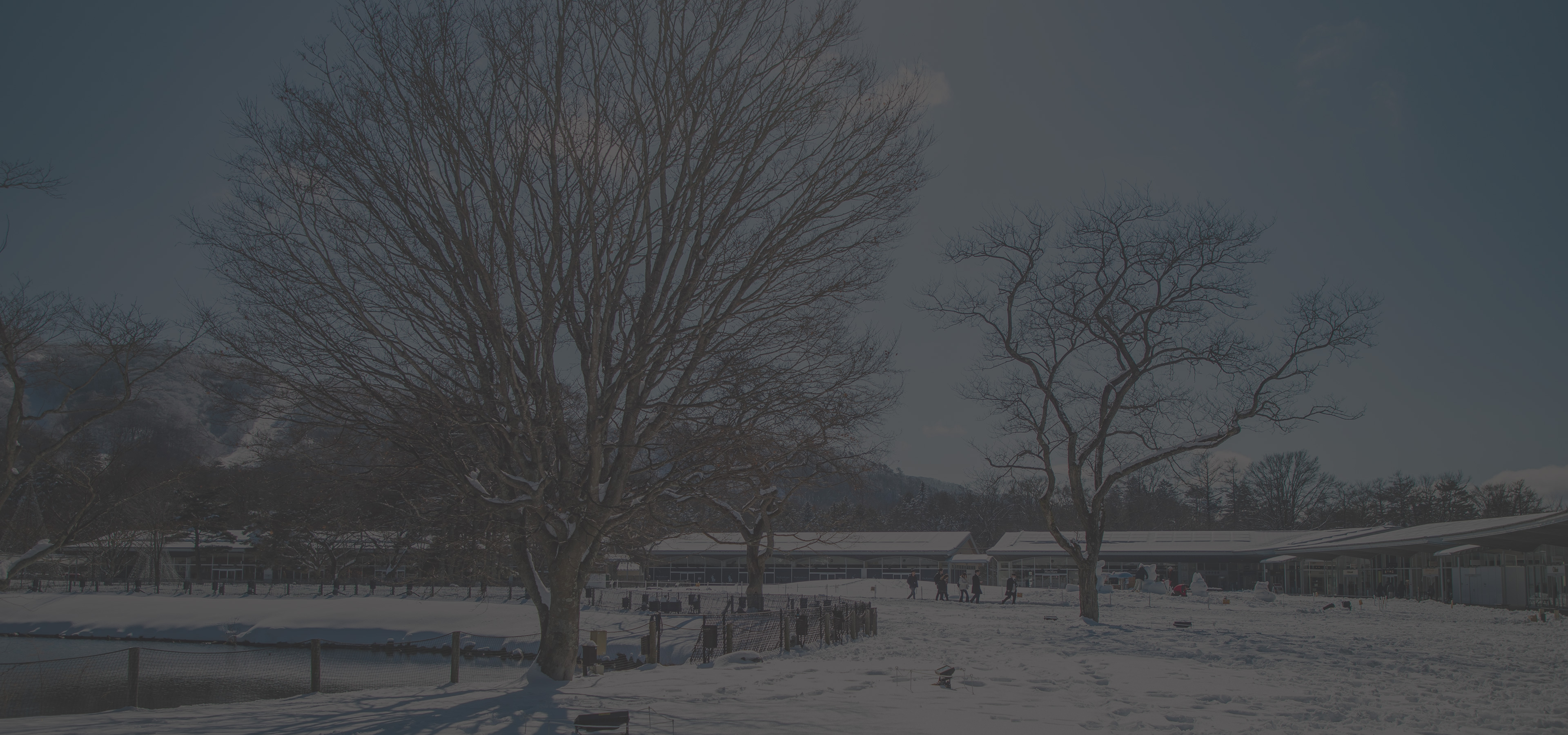 Contact us Get in Touch