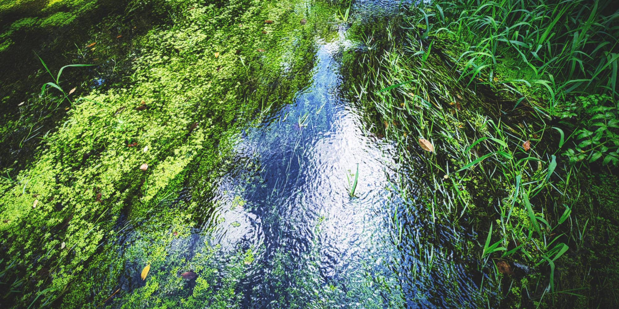 Set your heart free in the silence —　a moment of pure luxury in Karuizawa.