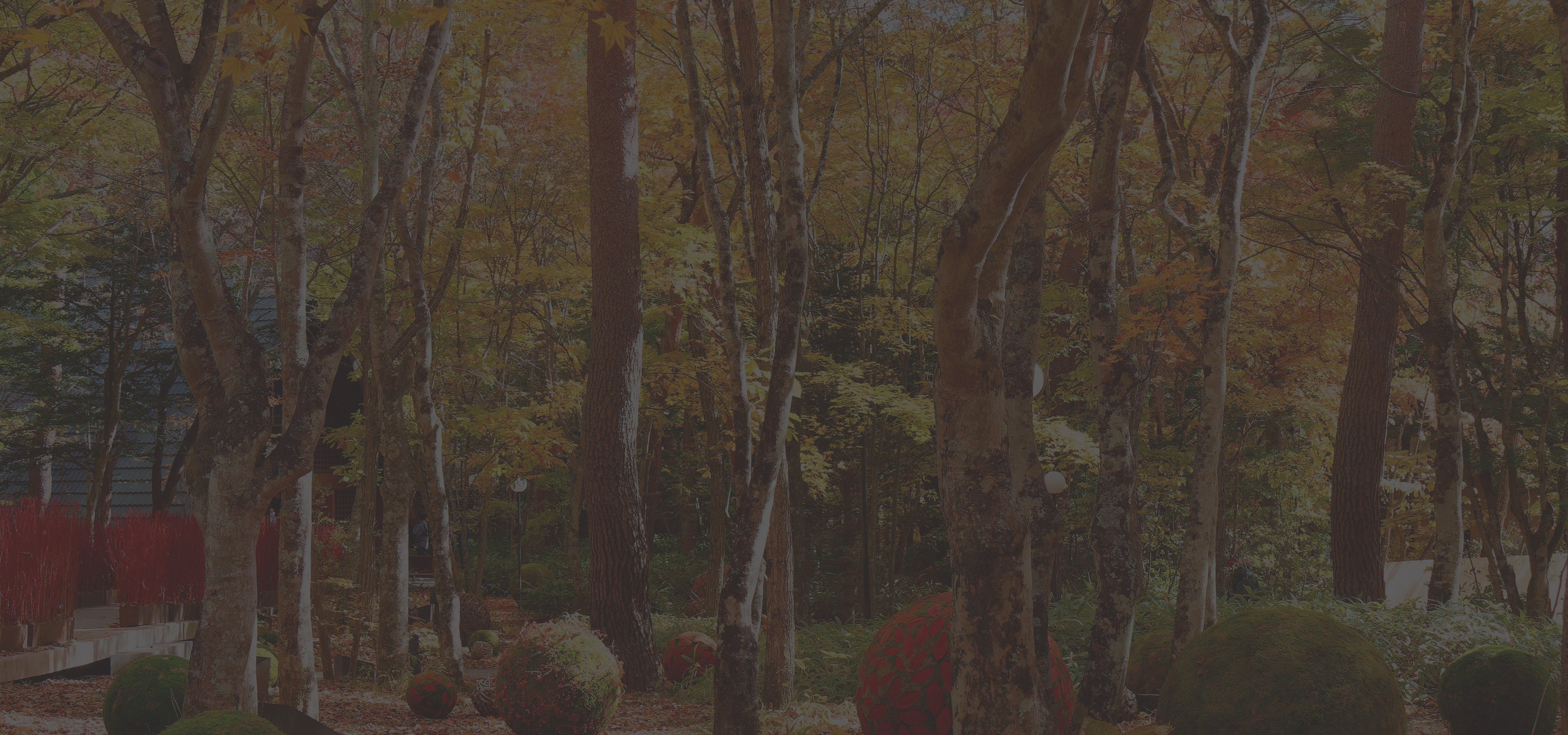 Contact us お問い合わせ